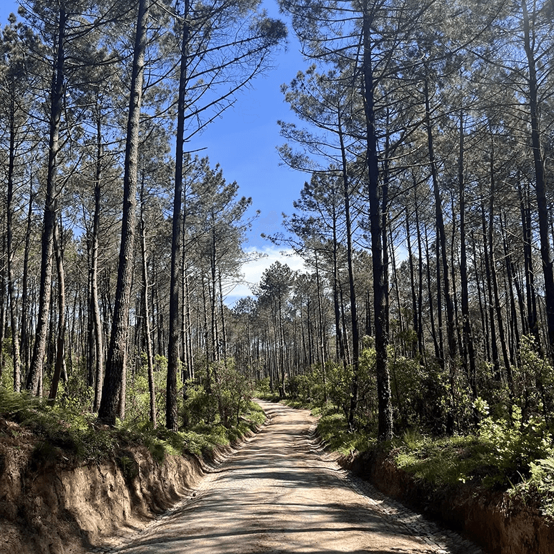 Cicloturismo